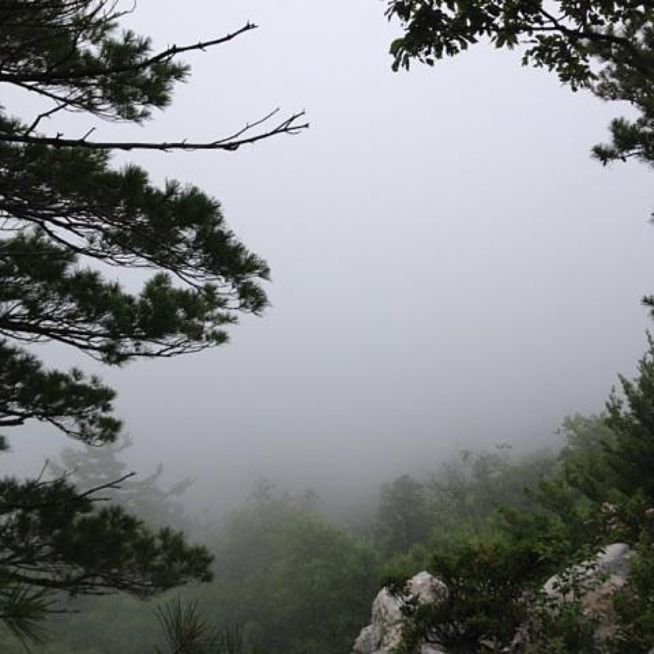 2014-06-22_0060.jpg